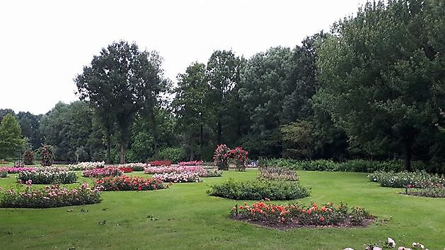 Verkenning RUN parcours - RUN Winschoten
